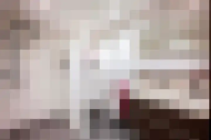 Meester Koolenweg 19 Zwolle thumbnail 14