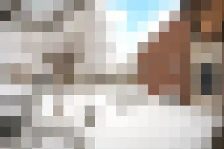 Meester Koolenweg 19 Zwolle thumbnail 30