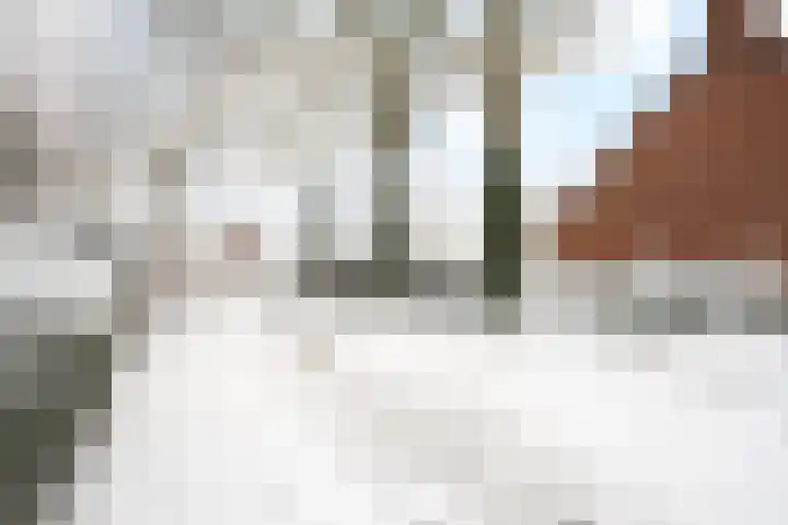 Meester Koolenweg 19 Zwolle thumbnail 33