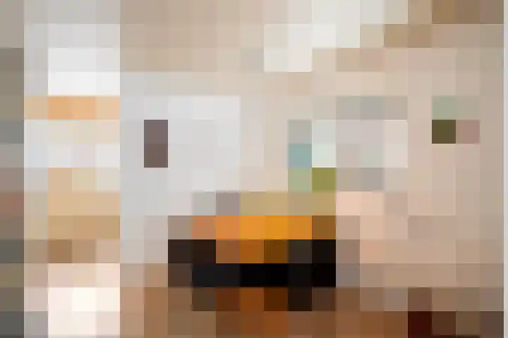 Meester Koolenweg 19 Zwolle thumbnail 7