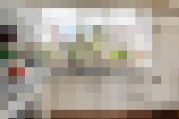Meester Koolenweg 28 Zwolle thumbnail 12