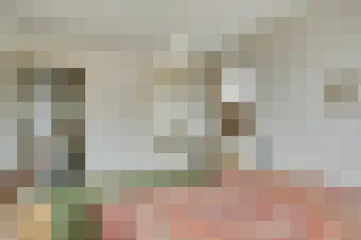 Meester Koolenweg 28 Zwolle thumbnail 22
