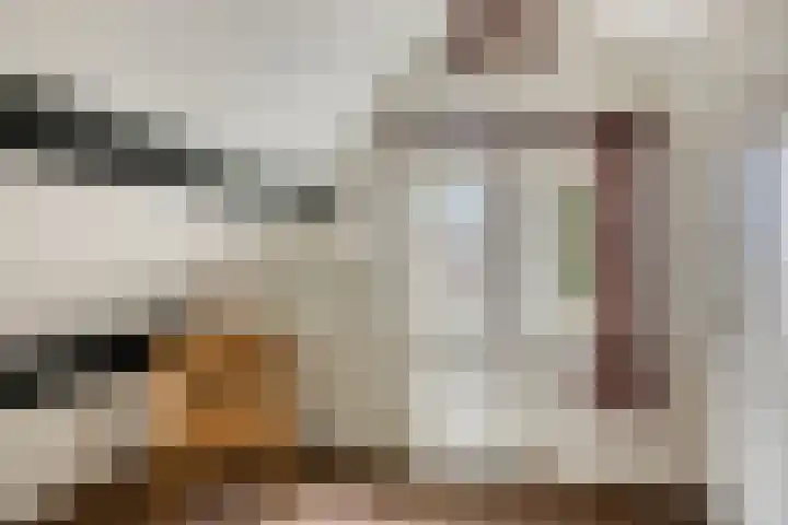 Meester Koolenweg 28 Zwolle thumbnail 31