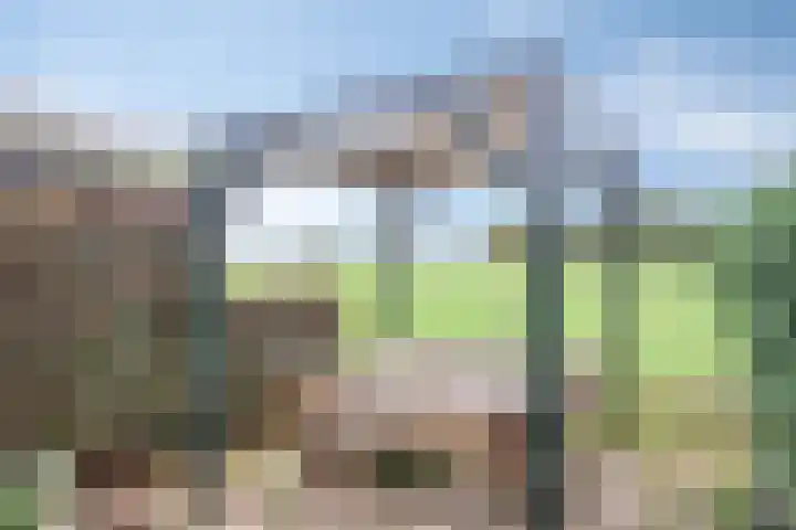 Meester Koolenweg 28 Zwolle thumbnail 32