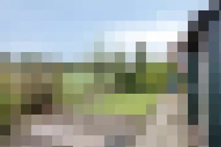 Meester Koolenweg 28 Zwolle thumbnail 33