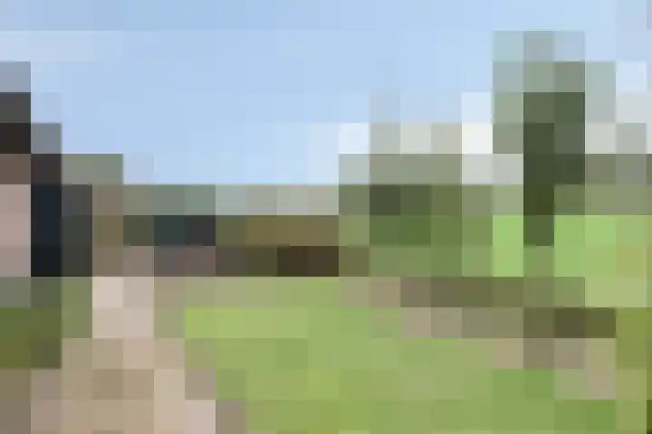 Meester Koolenweg 28 Zwolle thumbnail 34
