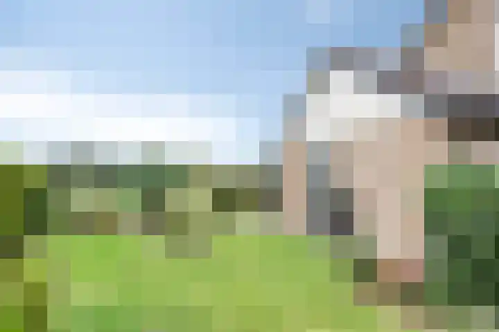 Meester Koolenweg 28 Zwolle thumbnail 35