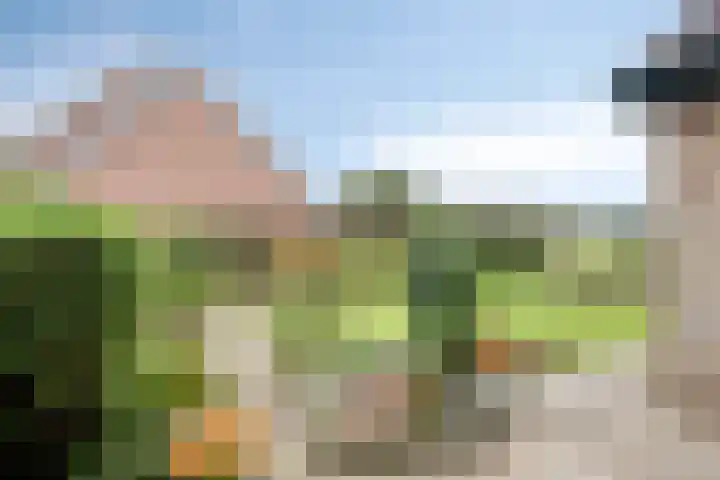 Meester Koolenweg 28 Zwolle thumbnail 36