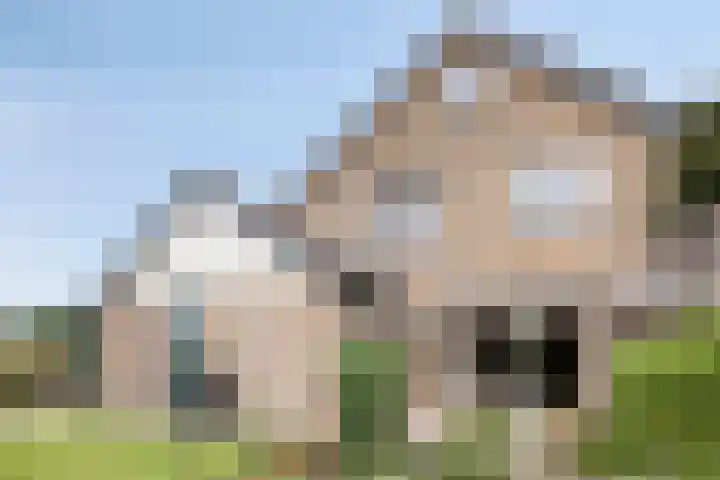 Meester Koolenweg 28 Zwolle thumbnail 37