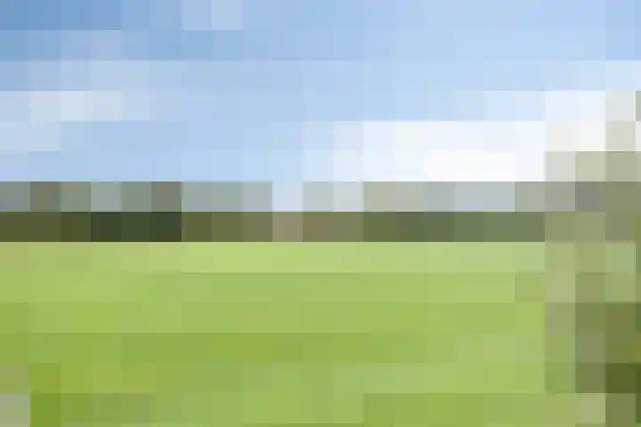 Meester Koolenweg 28 Zwolle thumbnail 38