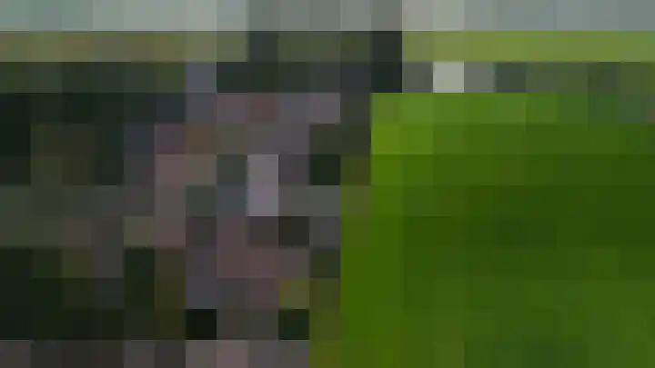 Meester Koolenweg 28 Zwolle thumbnail 41
