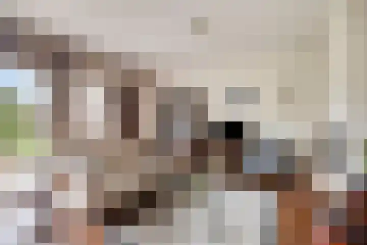 Meester Koolenweg 28 Zwolle thumbnail 5