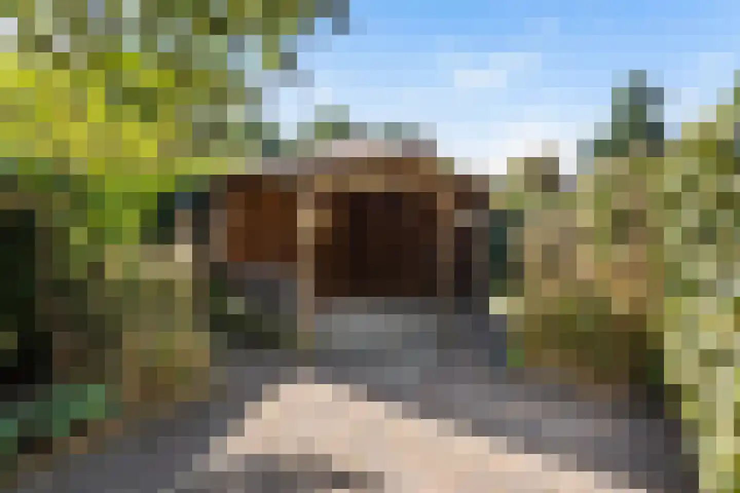 Meester Koolenweg 29 Zwolle thumbnail 10