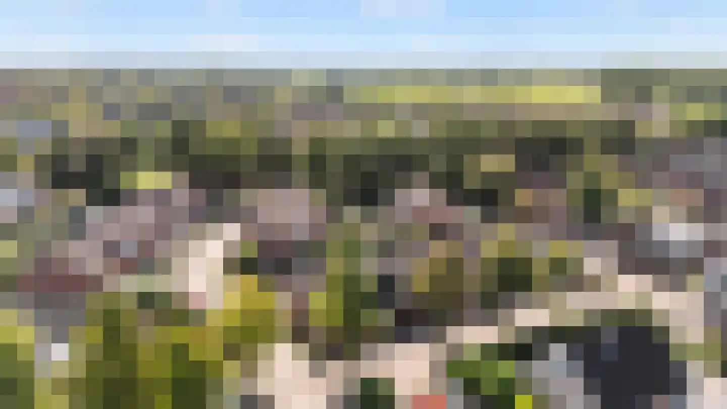 Meester Koolenweg 29 Zwolle thumbnail 34