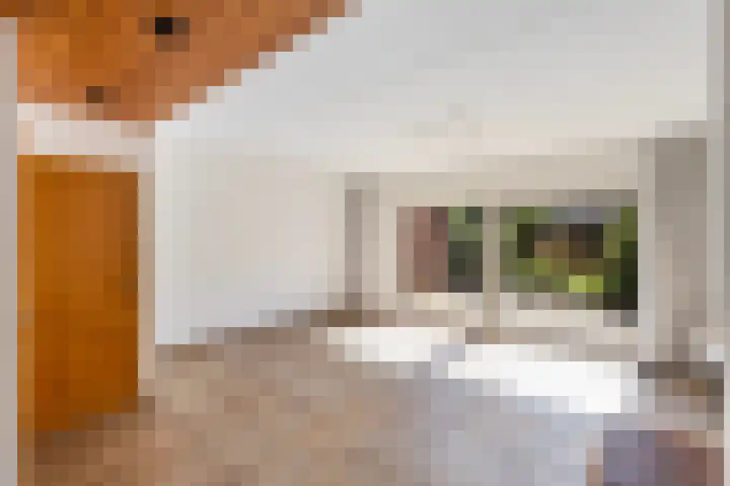 Meester Koolenweg 29 Zwolle thumbnail 4