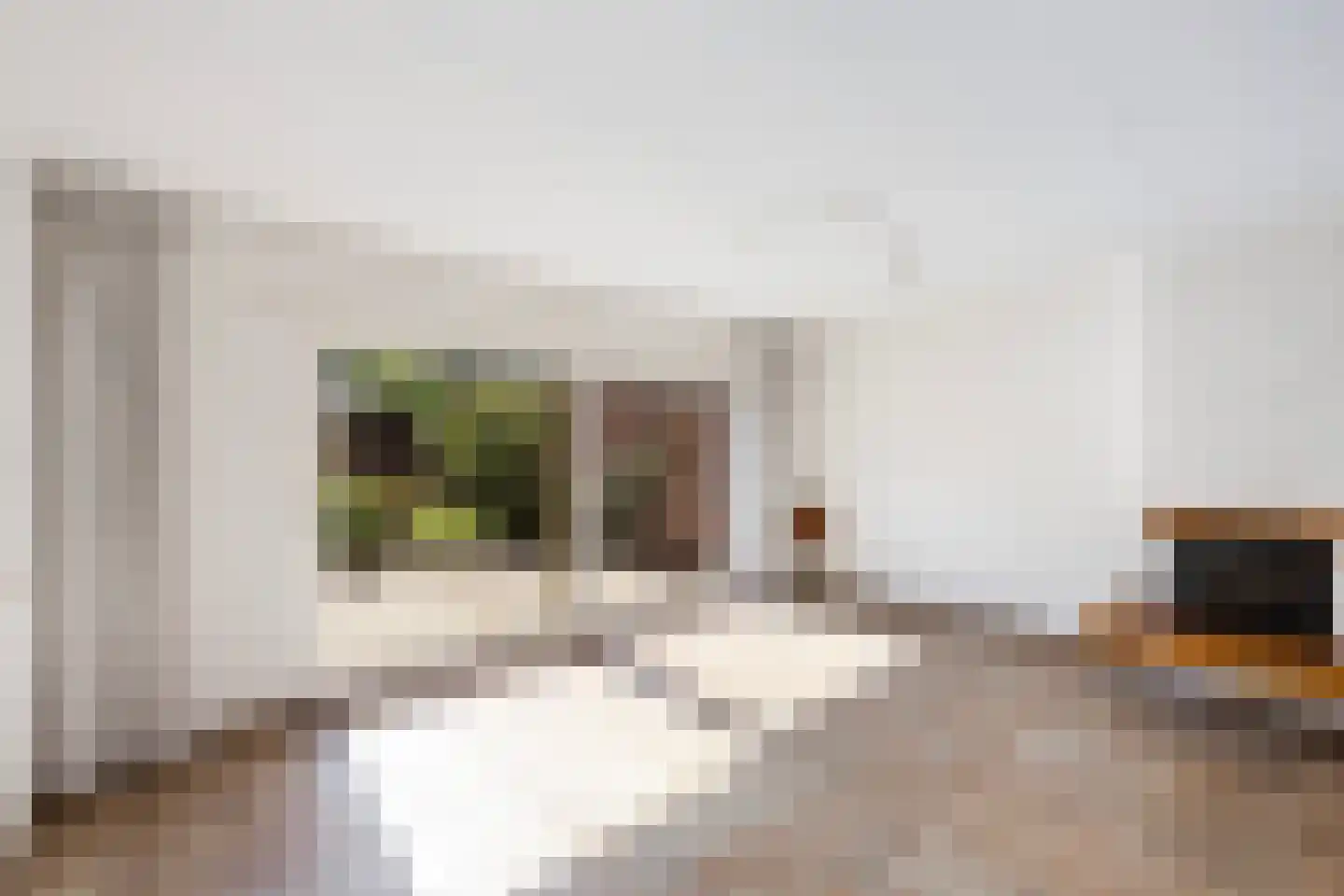 Meester Koolenweg 29 Zwolle thumbnail 5