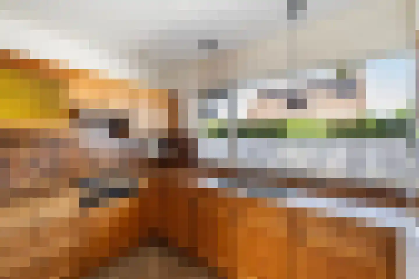 Meester Koolenweg 29 Zwolle thumbnail 7