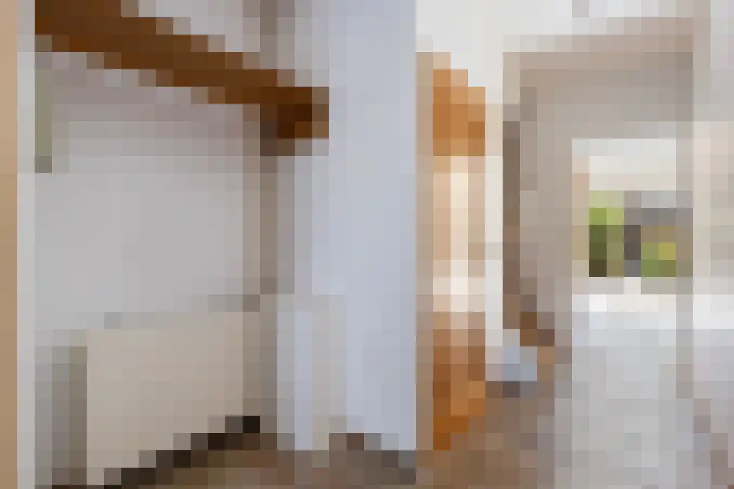 Meester Koolenweg 29 Zwolle thumbnail 9