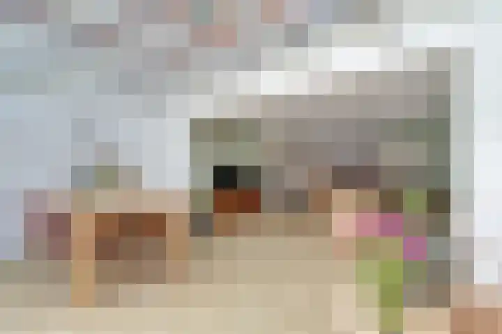 Meester Koolenweg 31 Zwolle thumbnail 4
