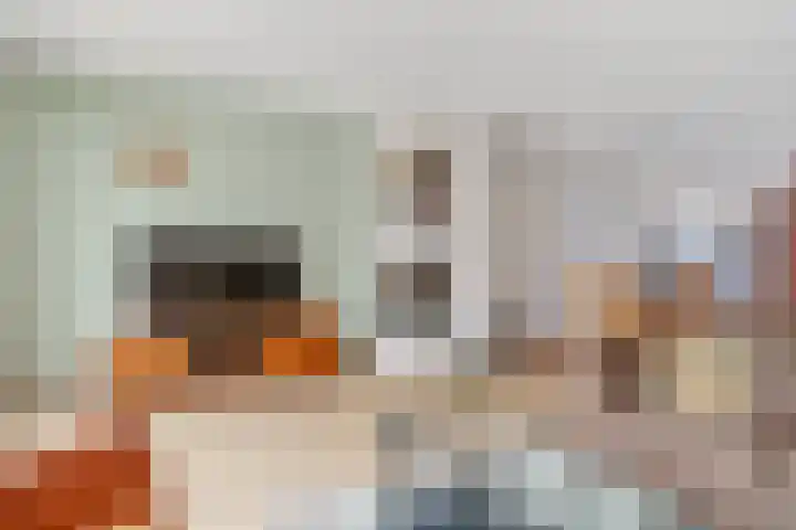 Meester Koolenweg 31 Zwolle thumbnail 6