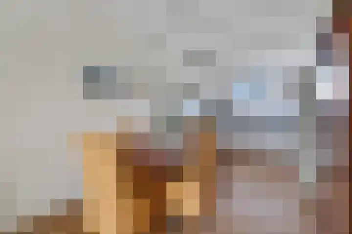 Meester Koolenweg 31 Zwolle thumbnail 8