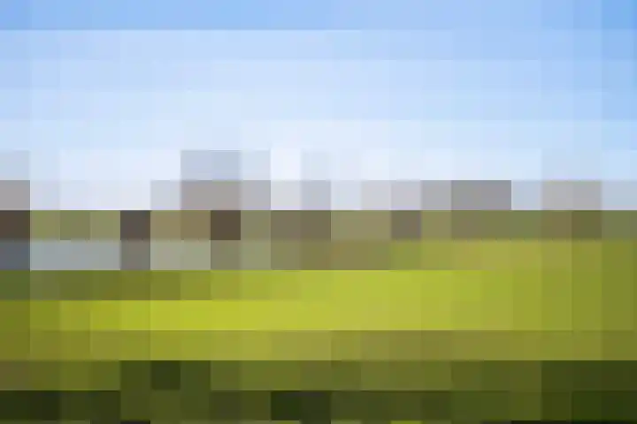 Meester Koolenweg 46 Zwolle thumbnail 35
