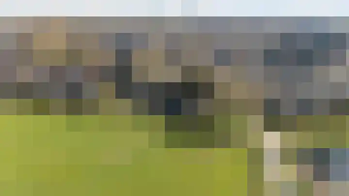Meester Koolenweg 46 Zwolle thumbnail 36