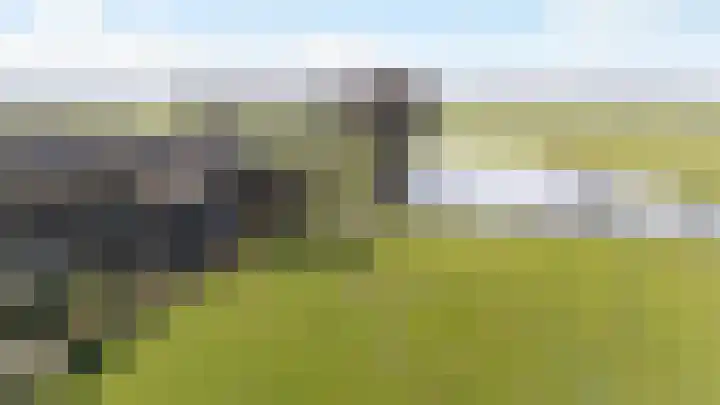 Meester Koolenweg 46 Zwolle thumbnail 37