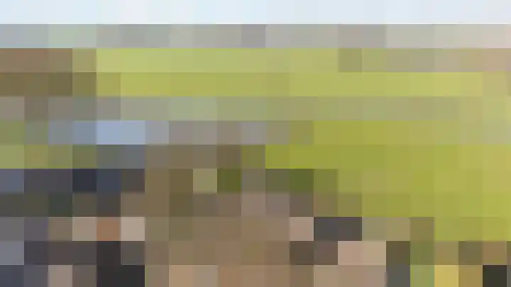 Meester Koolenweg 46 Zwolle thumbnail 39