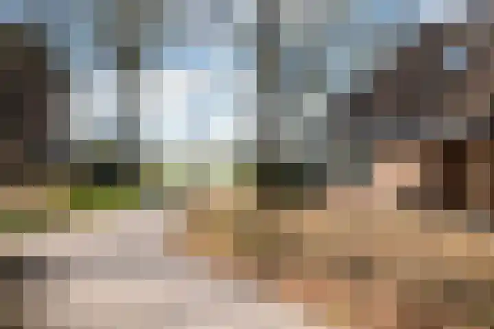 Meester Koolenweg 46 Zwolle thumbnail 4
