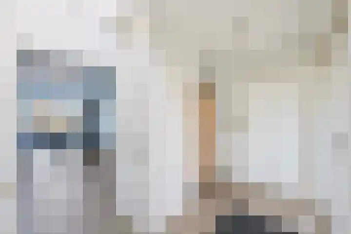 Meester Koolenweg 46 Zwolle thumbnail 6
