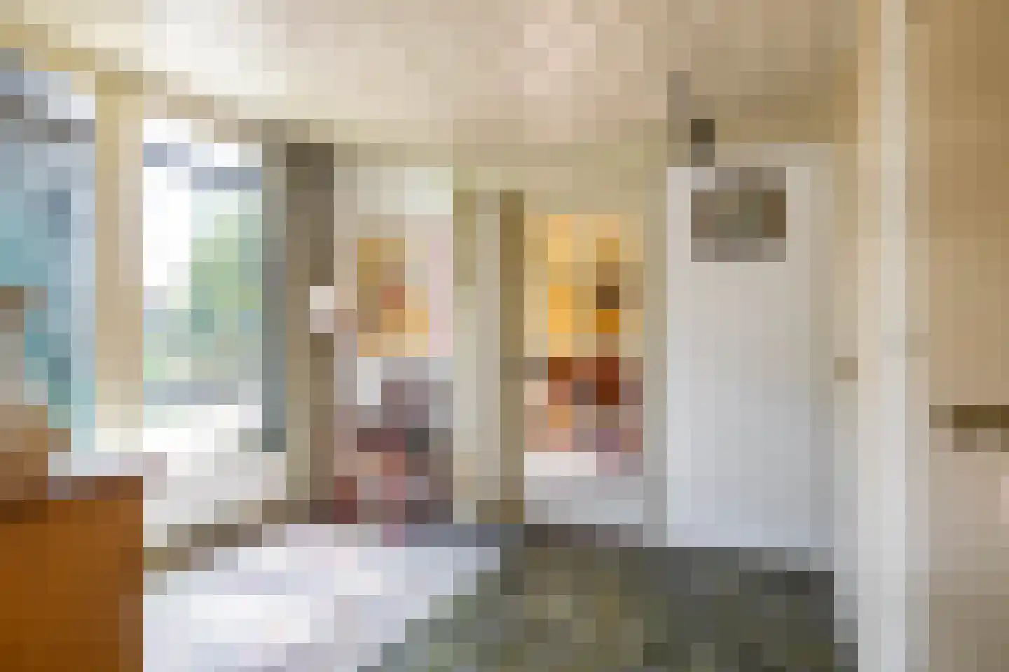 Meester Koolweg 2 Noordlaren thumbnail 29