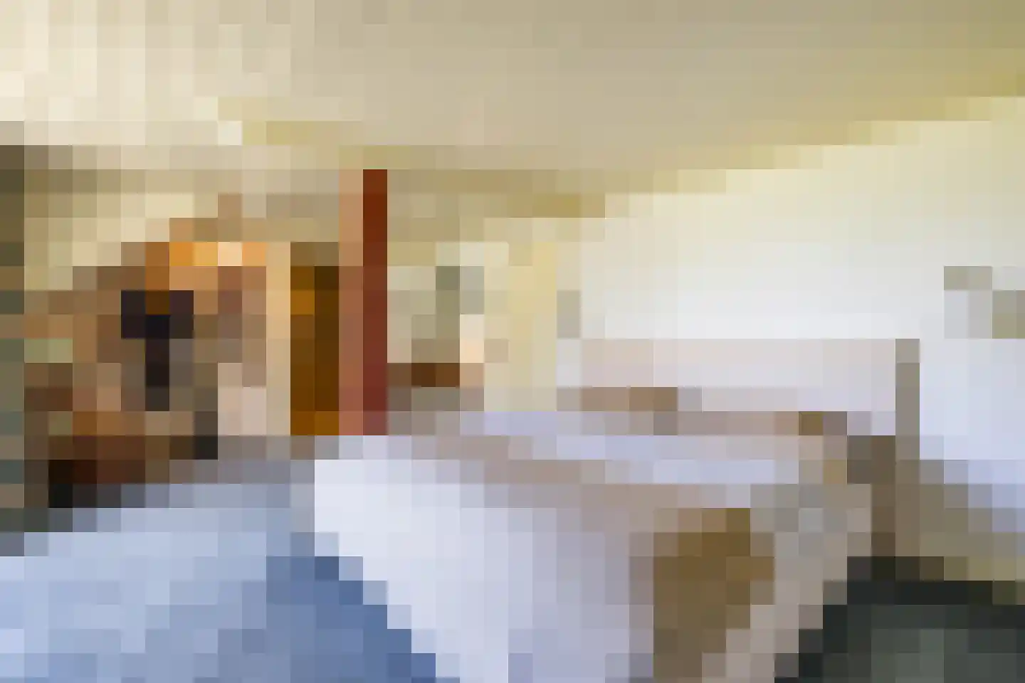 Meester Koolweg 2 Noordlaren thumbnail 33
