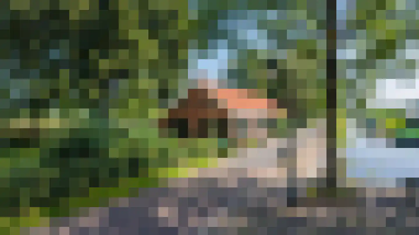 Meester Koolweg 2 Noordlaren thumbnail 4