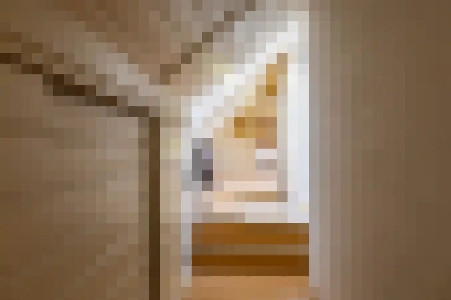 Meester Koolweg 2 Noordlaren thumbnail 46