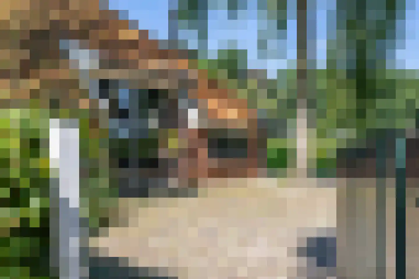 Meester Koolweg 2 Noordlaren thumbnail 56