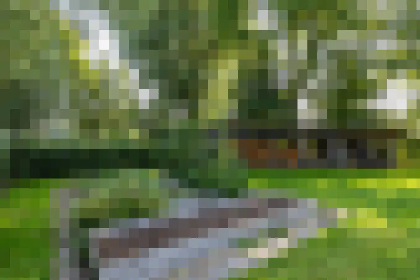 Meester Koolweg 2 Noordlaren thumbnail 59