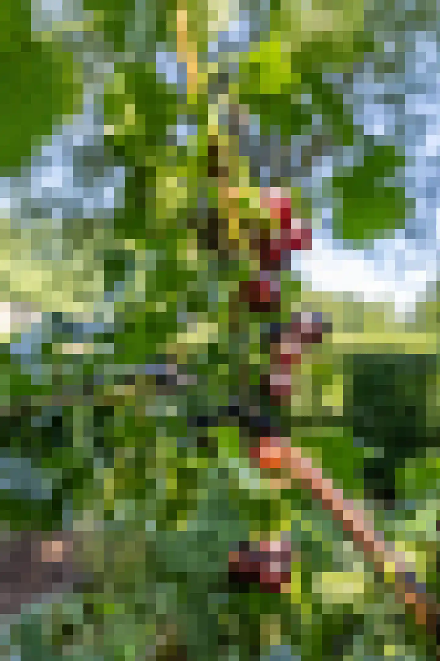 Meester Koolweg 2 Noordlaren thumbnail 60