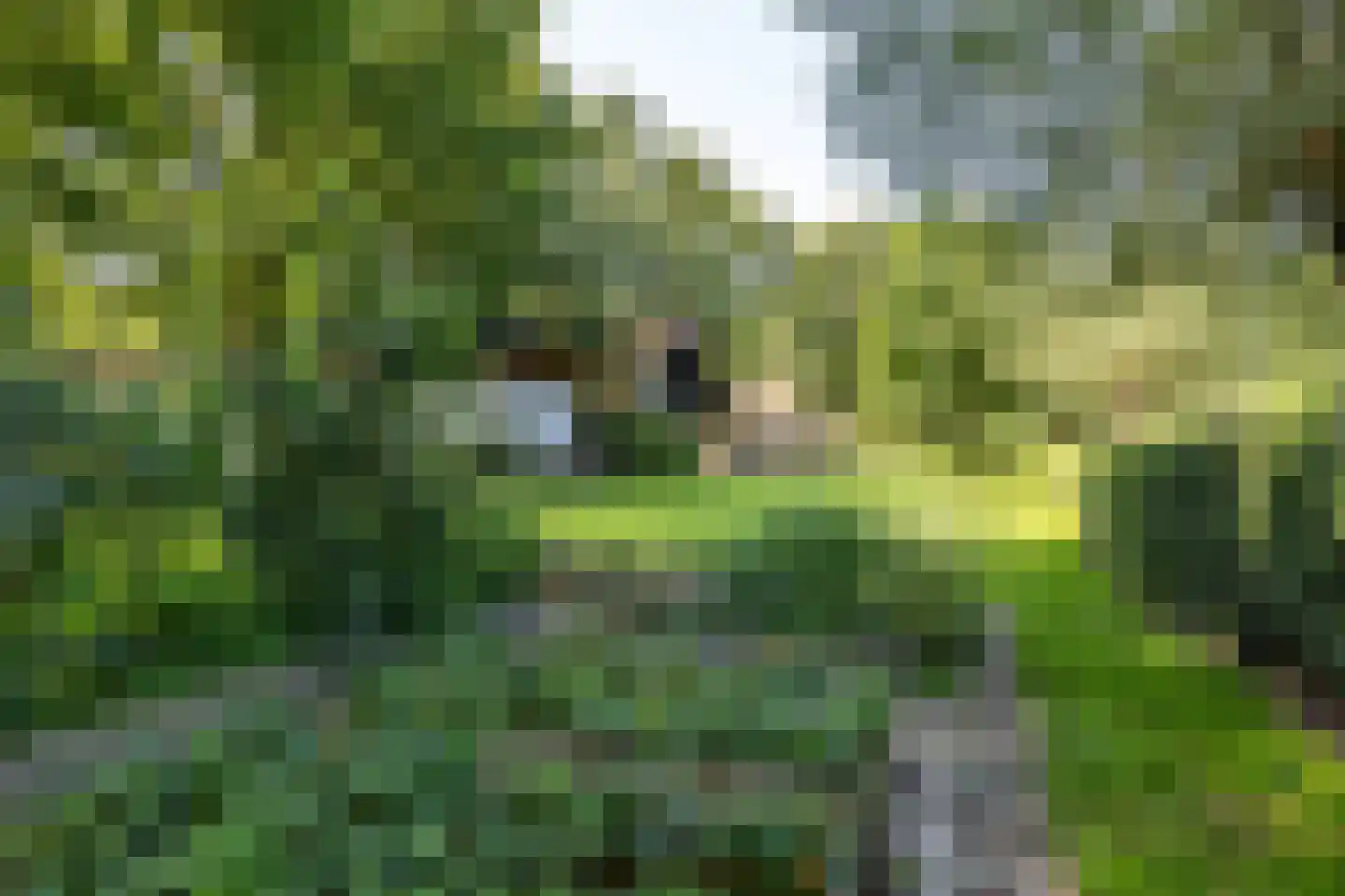 Meester Koolweg 2 Noordlaren thumbnail 61