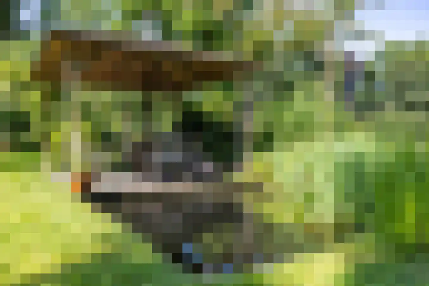 Meester Koolweg 2 Noordlaren thumbnail 66