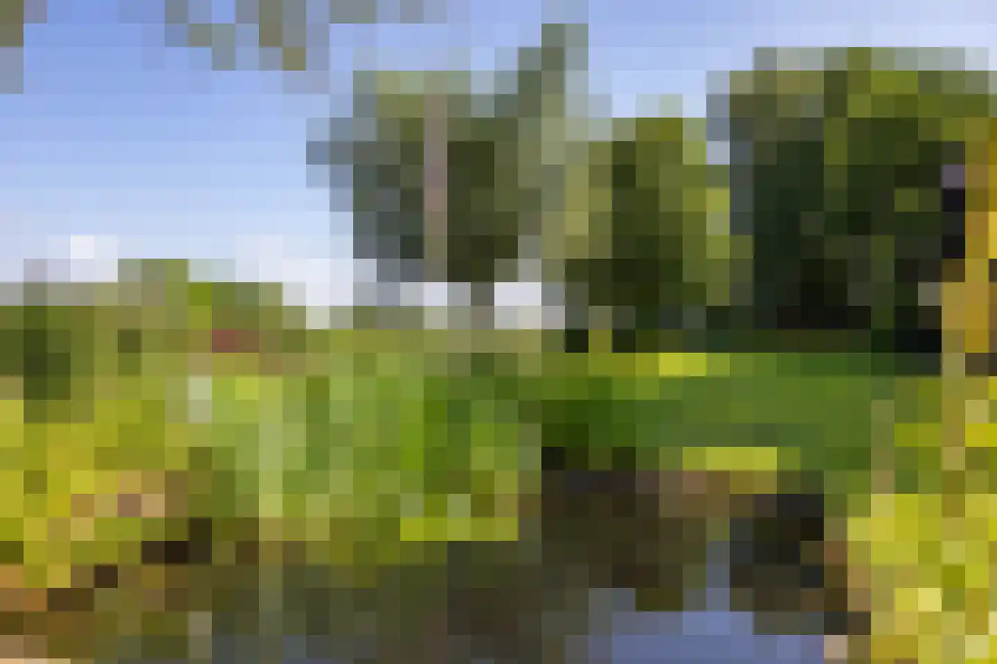 Meester Koolweg 2 Noordlaren thumbnail 68