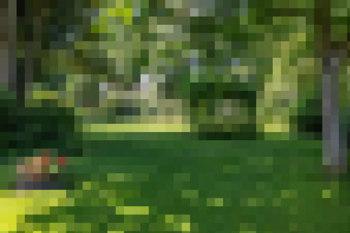 Meester Koolweg 2 Noordlaren thumbnail 70