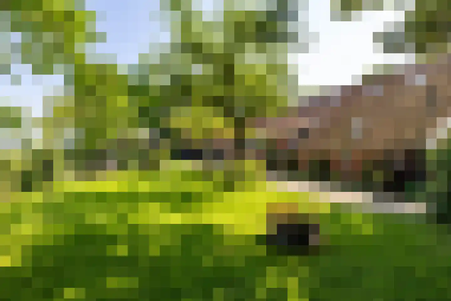 Meester Koolweg 2 Noordlaren thumbnail 71