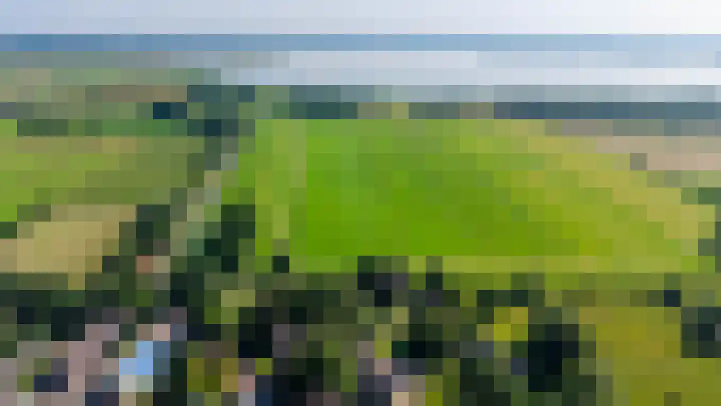 Meester Koolweg 2 Noordlaren thumbnail 73