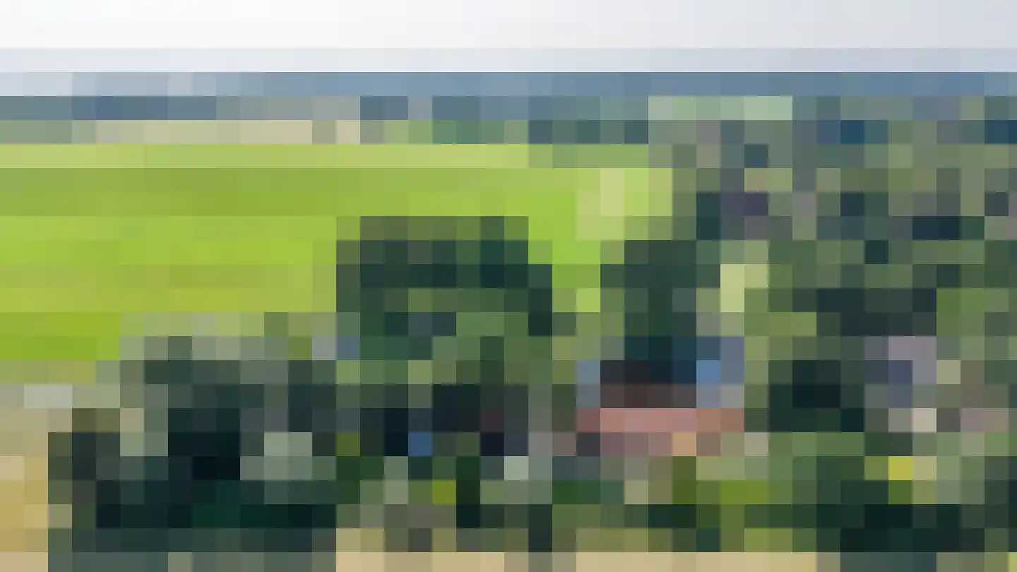 Meester Koolweg 2 Noordlaren thumbnail 76