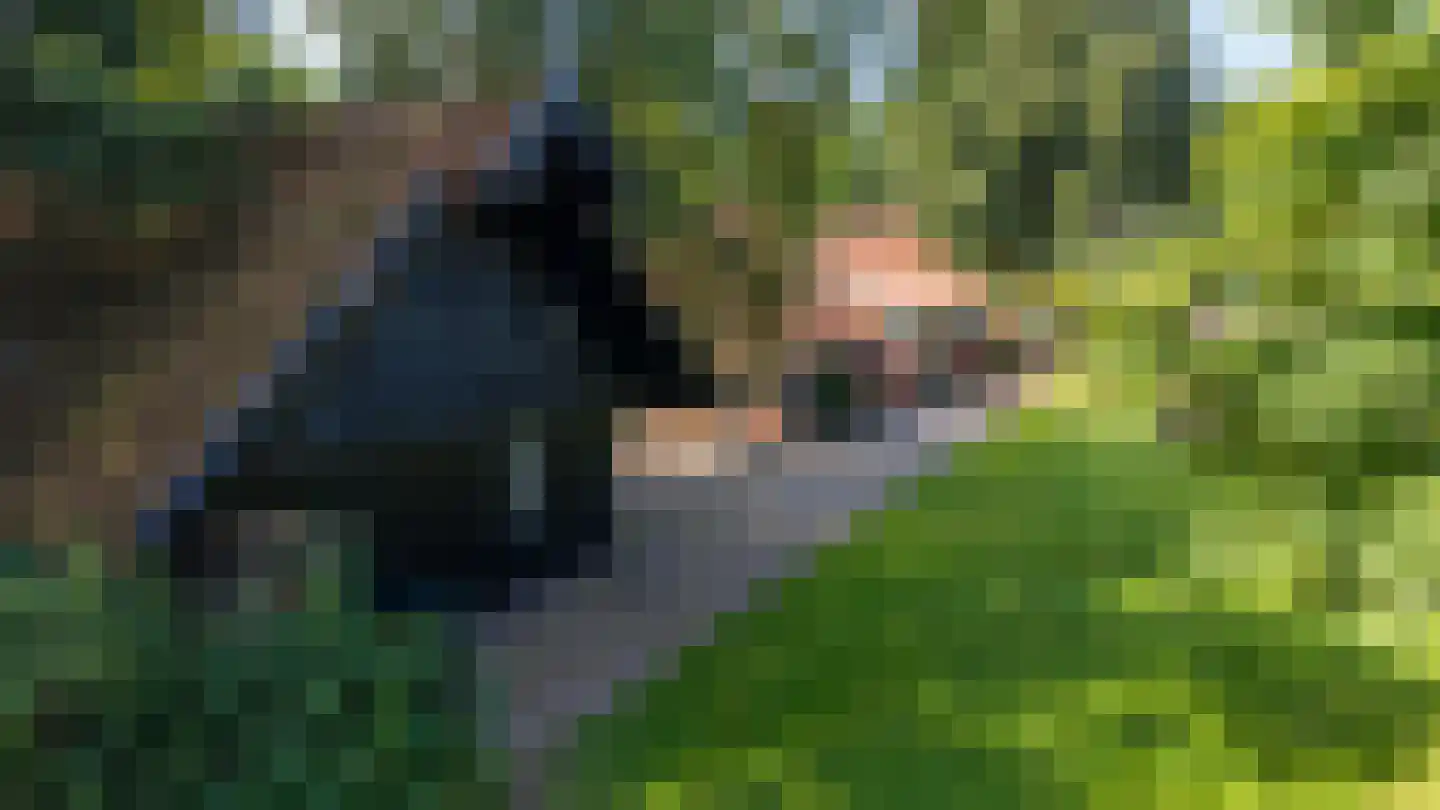 Meester Koolweg 2 Noordlaren thumbnail 77