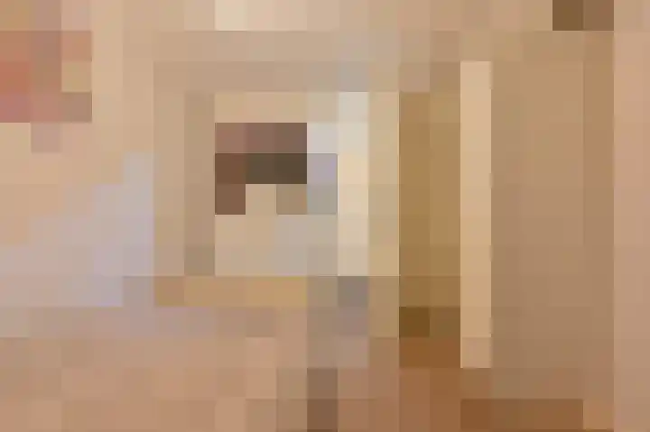 Meester Kosterweg 5 Noordscheschut thumbnail 36