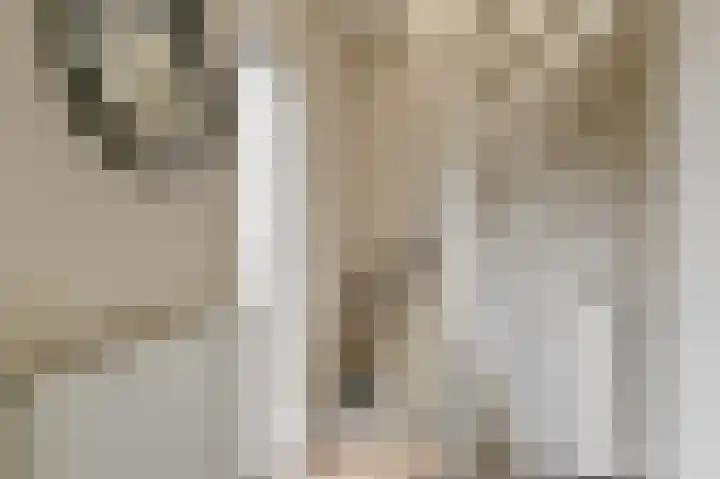 Meester Kosterweg 5 Noordscheschut thumbnail 4
