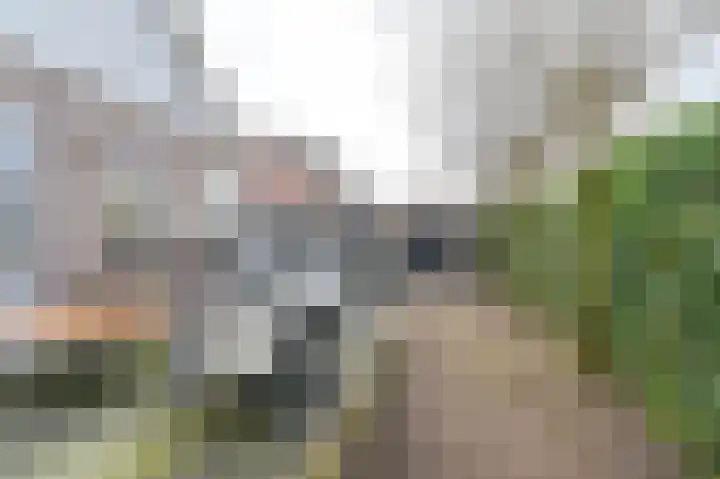 Meester Kosterweg 5 Noordscheschut thumbnail 53