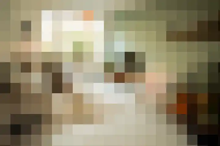 Meester Kraaistraat 8 Den Burg thumbnail 12